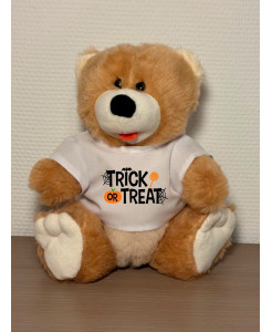 Trick Or Treat – Teddy Bear with Halloween Shirt